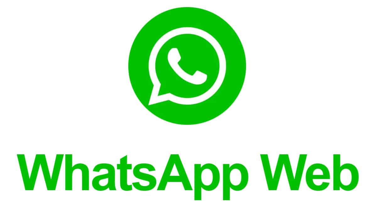 How to find users on WhatsApp and optimize results with WhatsApp activity filtering.